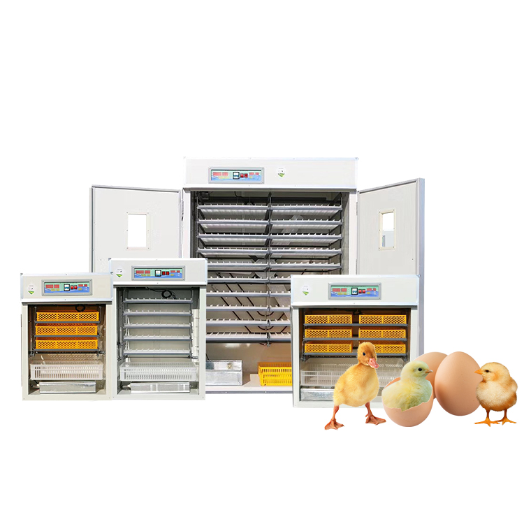 Multifunctional Incubator